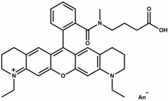 Bio-Synthesis Inc. Oligo Structure